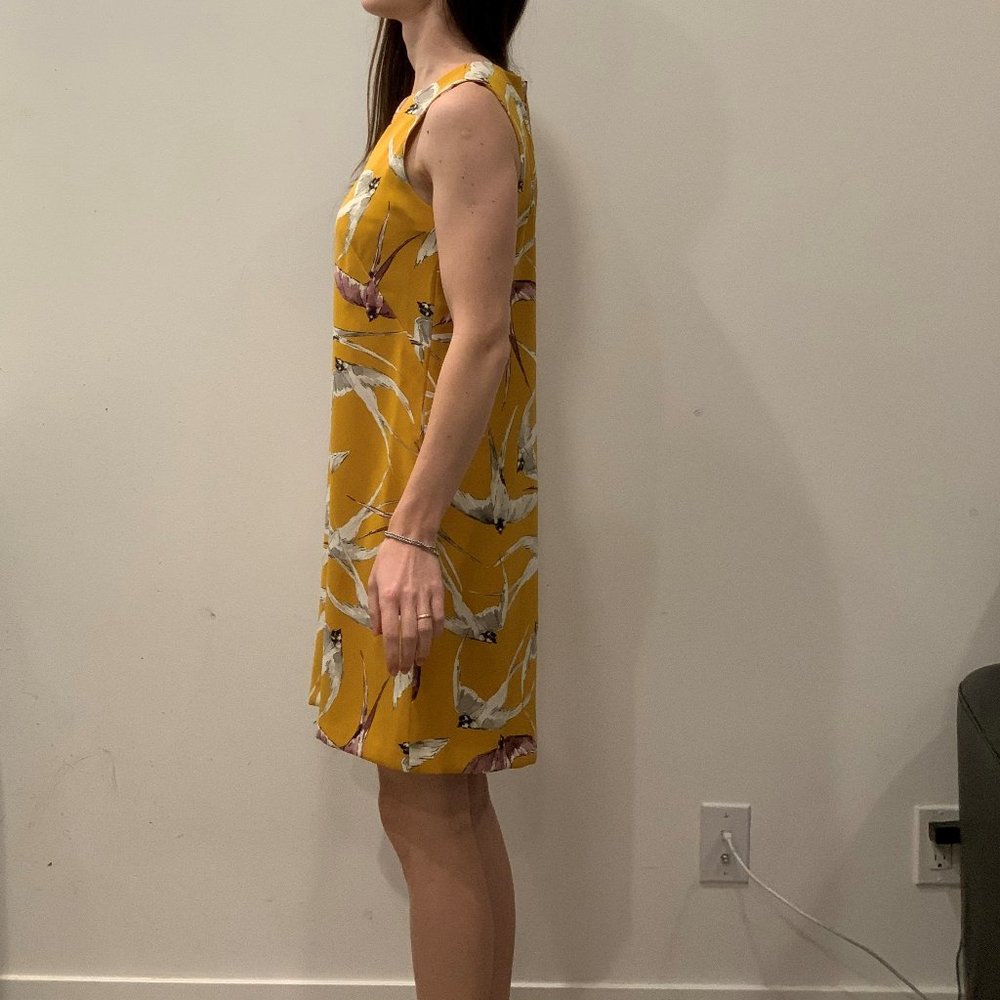 Ann Taylor Mojave Shift Dress Size 6 - Picture 3 of 7